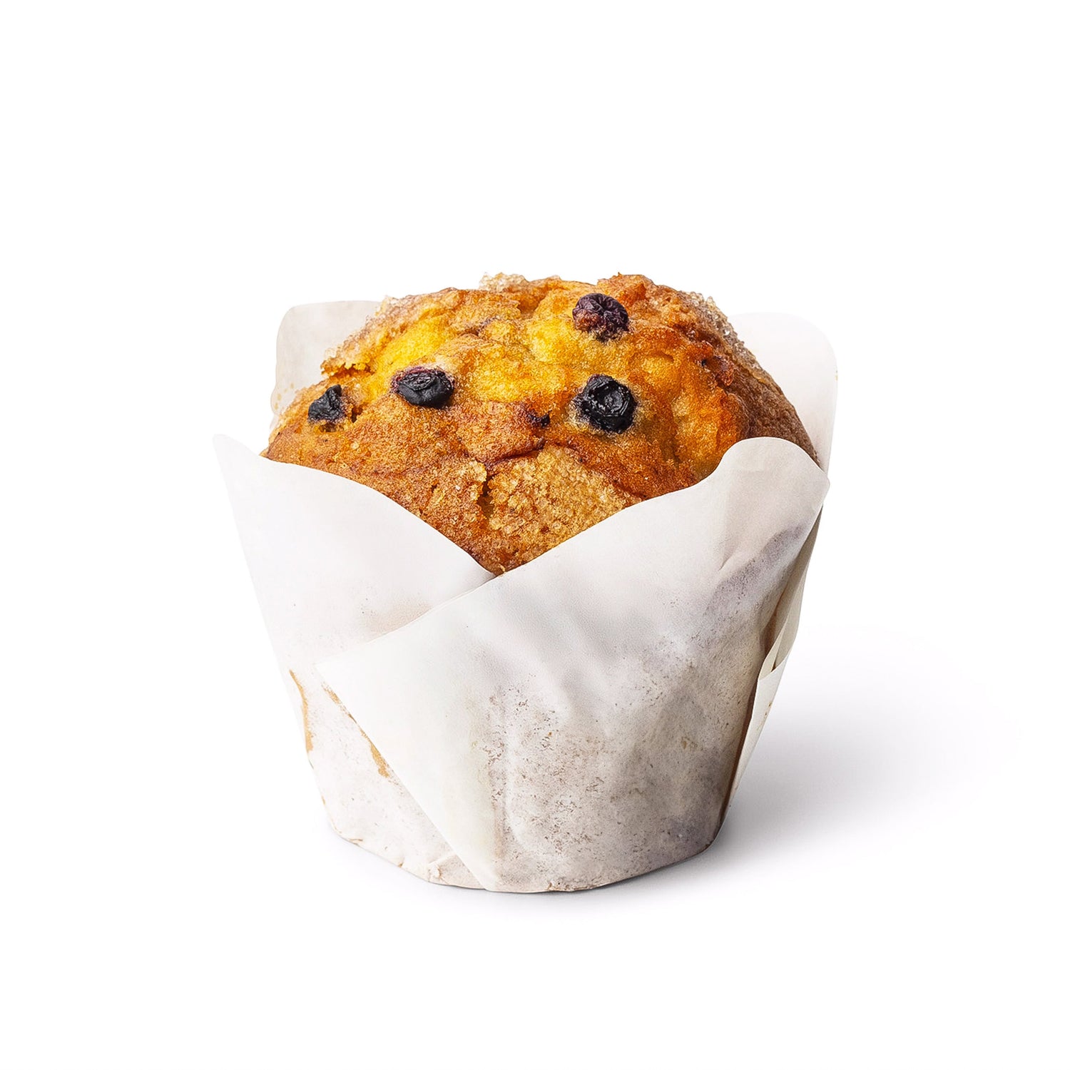 Blueberry Muffin